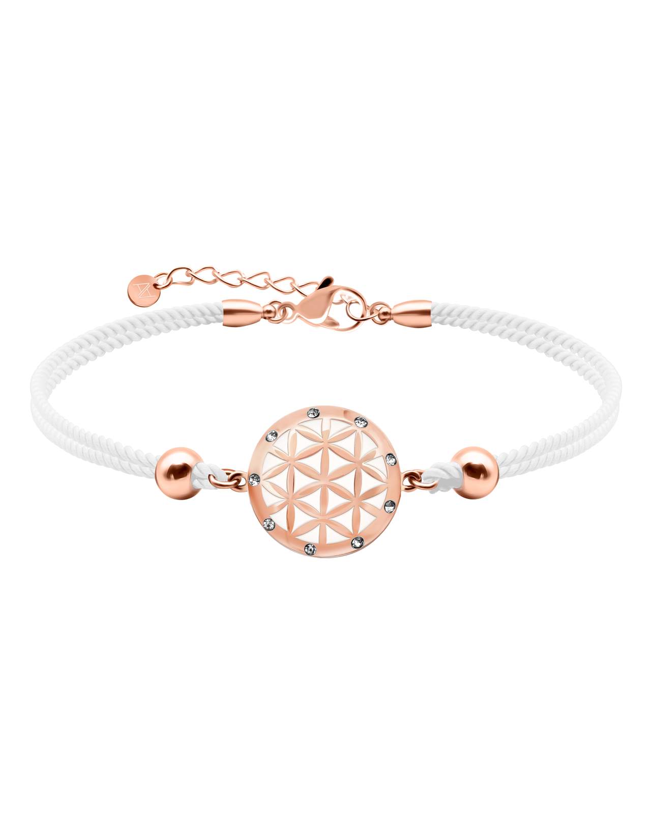 Packshot Fiore Bianco