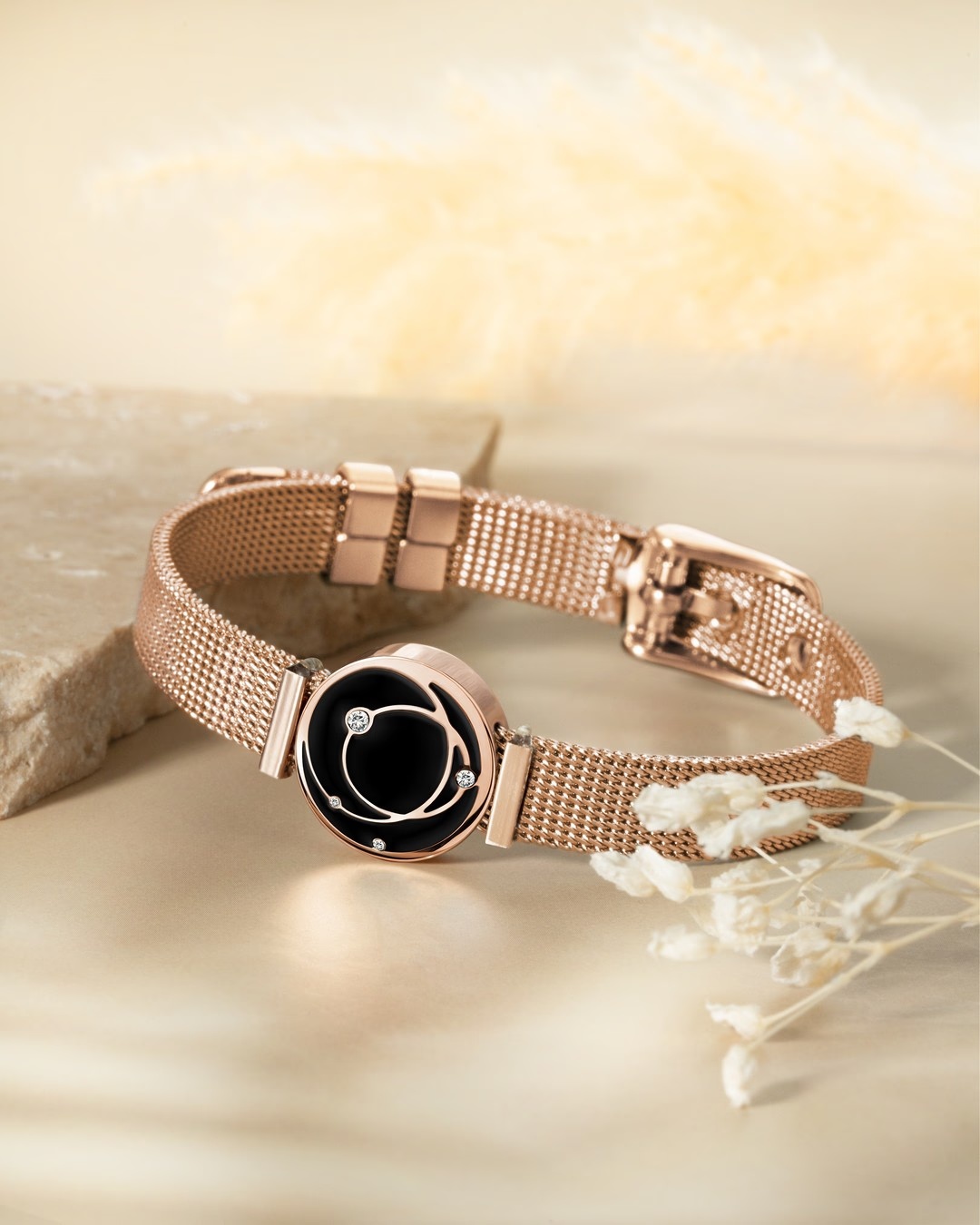 Packshot Stellezia Nera